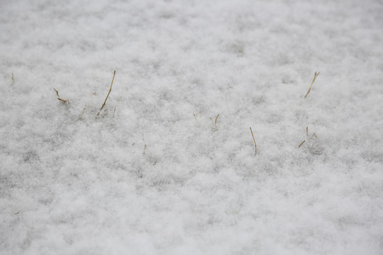 雪地