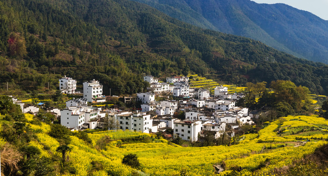 婺源江岭