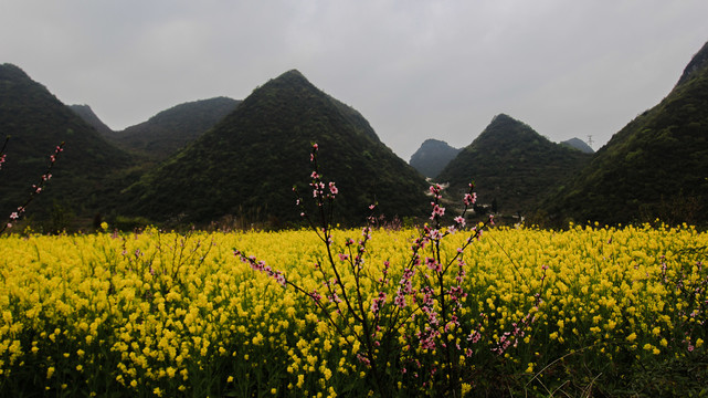 贵州贵安新区春天景色