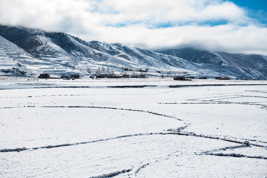 新都桥雪景