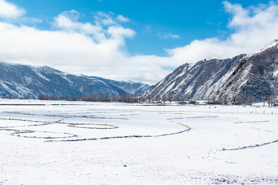 新都桥雪景