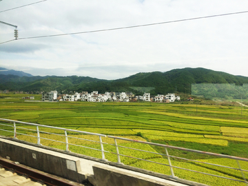 田野风光