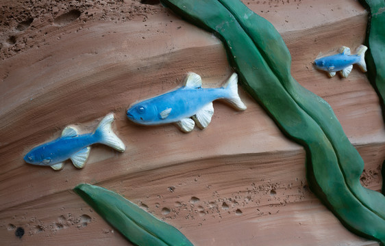 石头的蓝色小鱼和海草