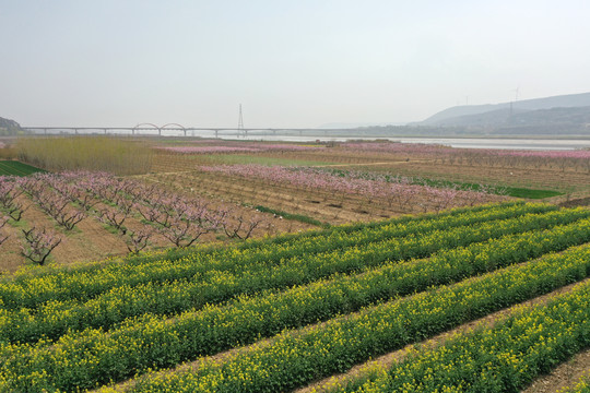 风陵渡黄河大桥