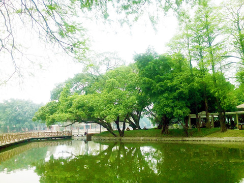 广州流花湖