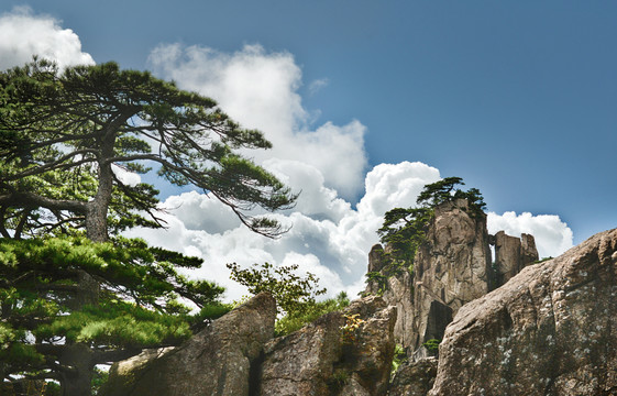 黄山景观