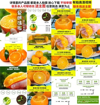 愛媛詳情