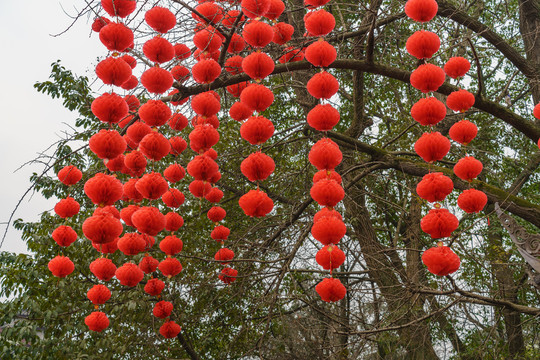 春节灯会灯展树挂红灯笼