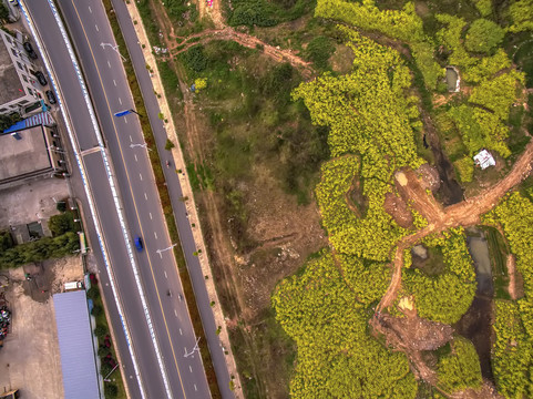 兰溪兰江堤路油菜花航拍