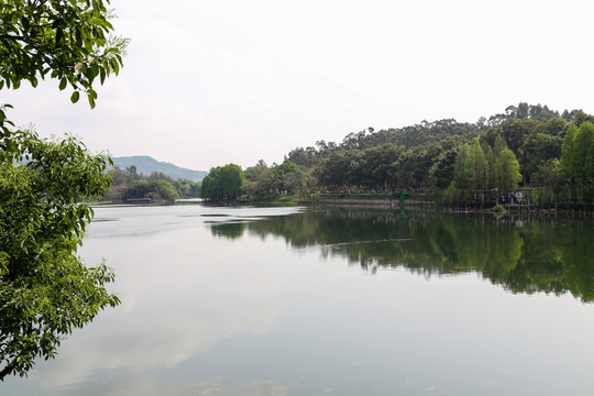 麓湖景色