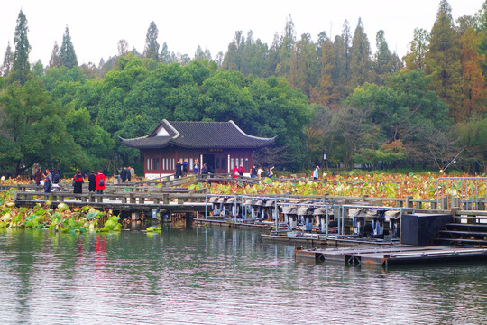 西湖风景