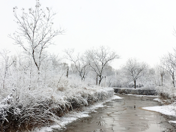 春雪