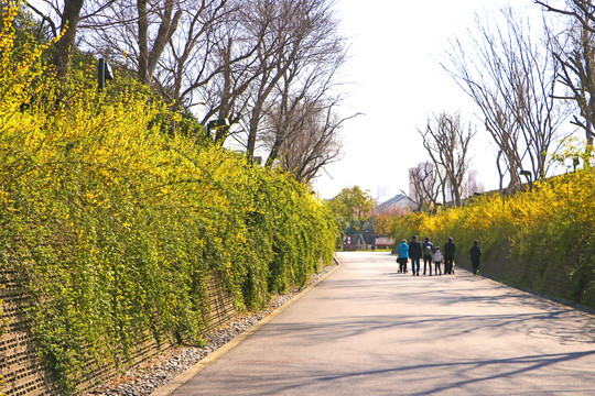 道路