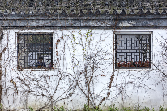 西塘古镇漏窗围墙