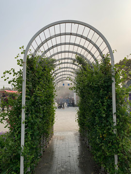植物拱门