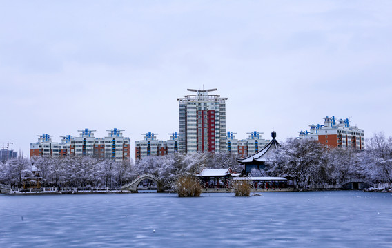 银川燕鸽湖