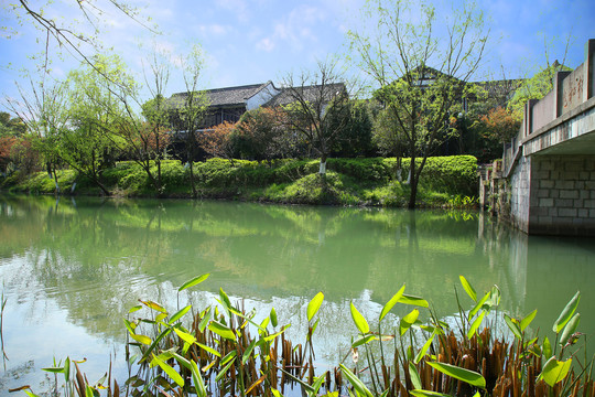 西溪湿地风景区