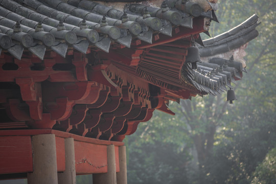 宁波阿育王寺