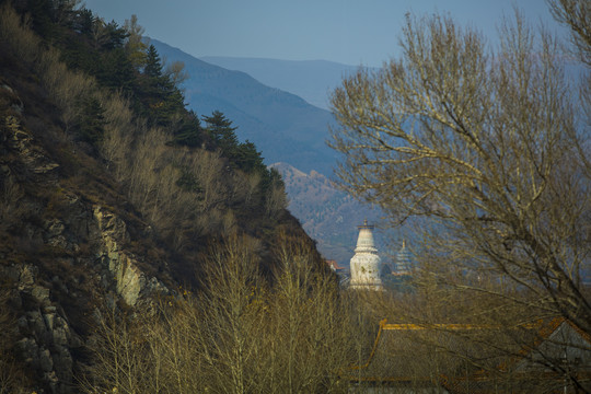 山西五台山寺庙建筑风景