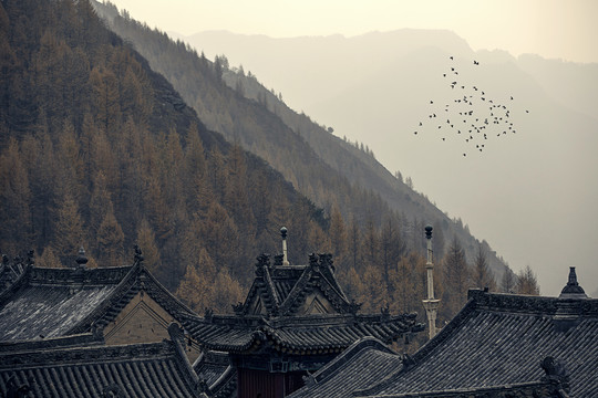 山西五台山龙泉寺