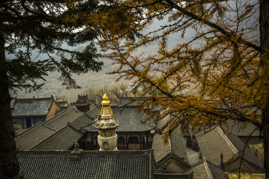 山西五台山龙泉寺