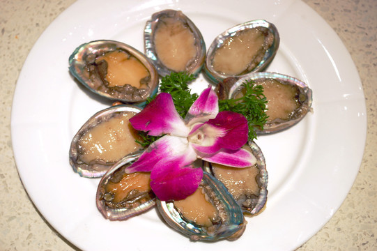 鮑魚