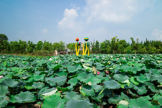 南昌象湖湿地风景区