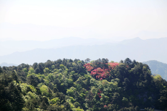 麻城龟山