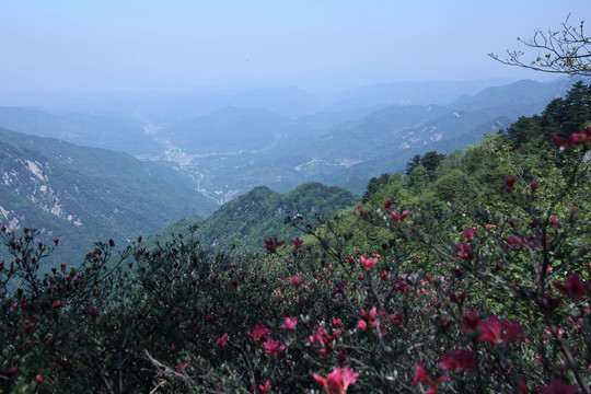 麻城龟山