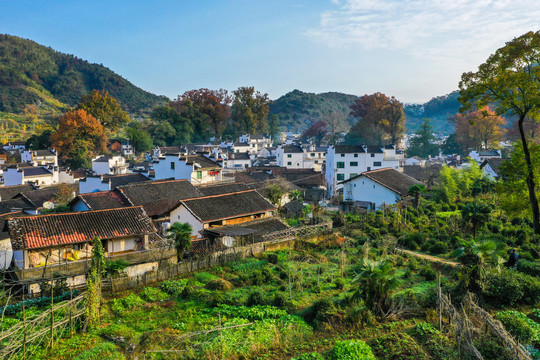 婺源山村