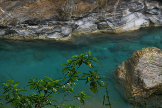 碧绿的山间流水