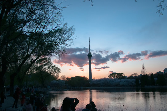 玉渊潭夜景