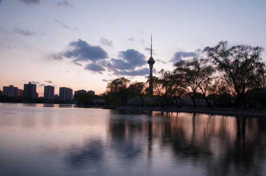 玉渊潭夜景