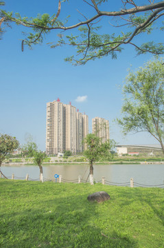 武荣公园看西溪半岛