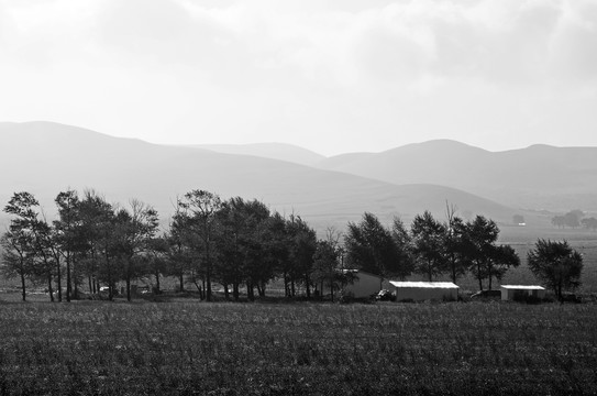 黑白风景