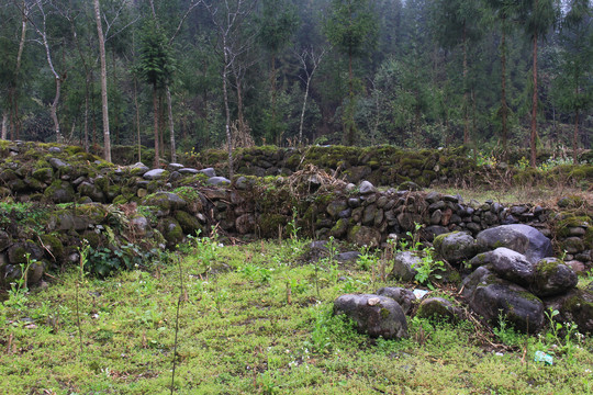 山野荒地石更