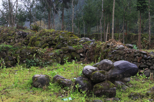 山野荒地石更