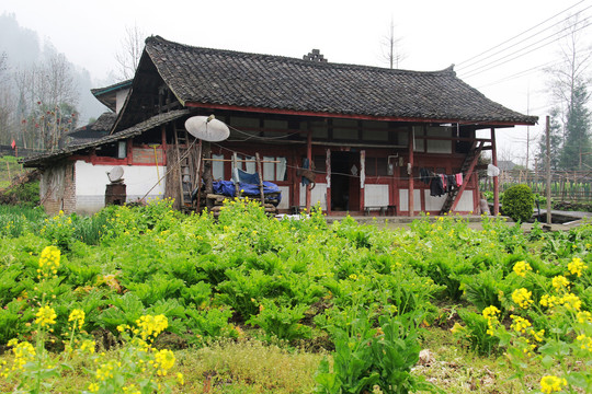 山野乡村人家民居