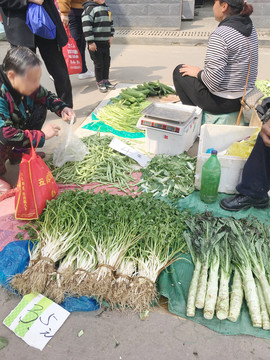 卖菜菜摊