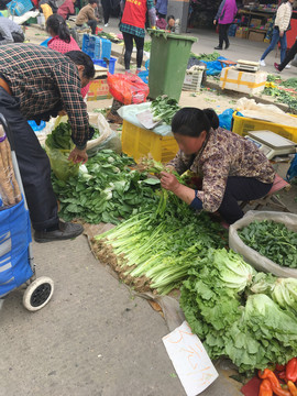 卖菜菜农