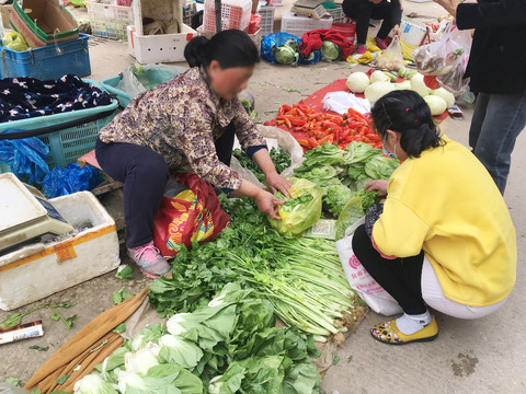 卖菜菜摊