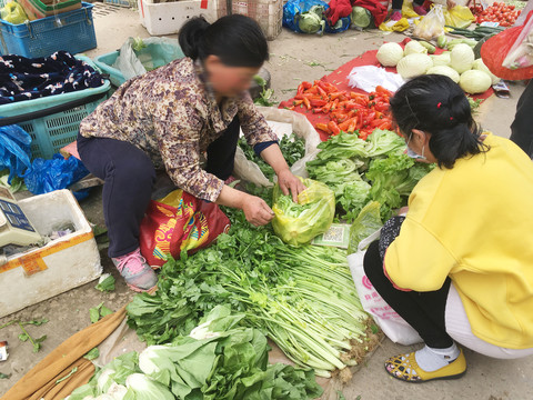 卖菜农民