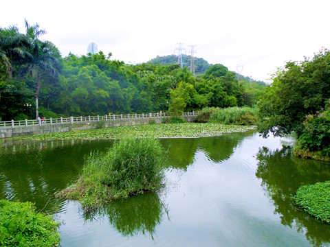 湖畔美景