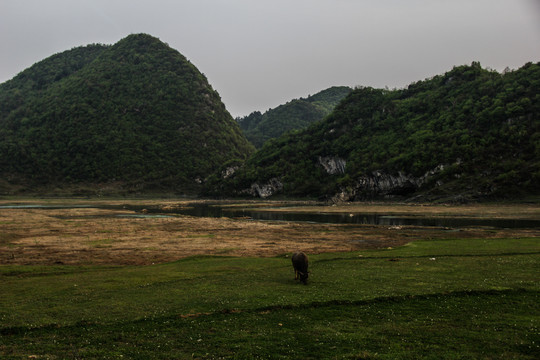 红枫湖