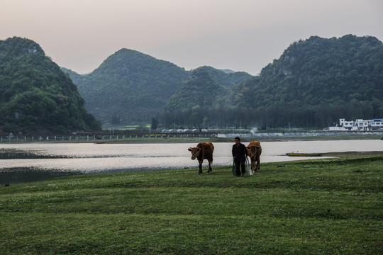 红枫湖