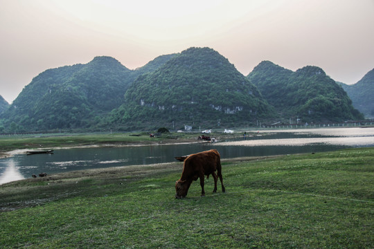 红枫湖