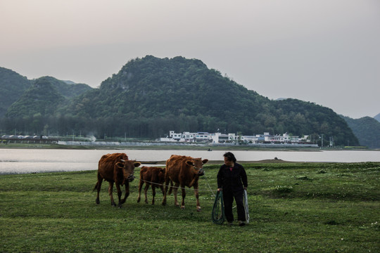 红枫湖