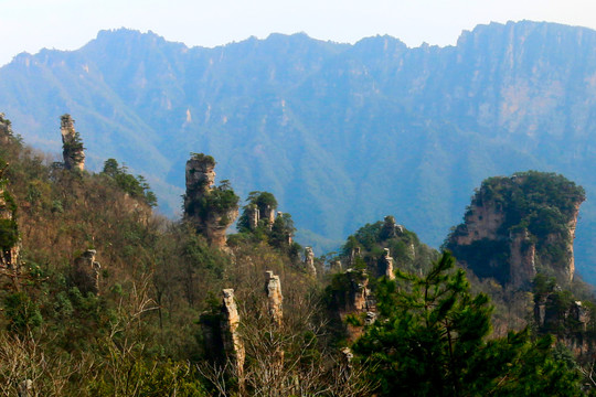 天子山仙女散花