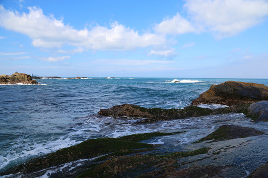 海岸