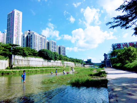 龙岗河畔风景